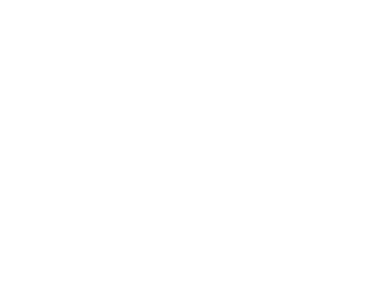 UEFA Champions League